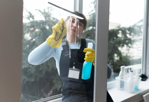 Nettoyage de vitres intérieures et extérieures à Fretin